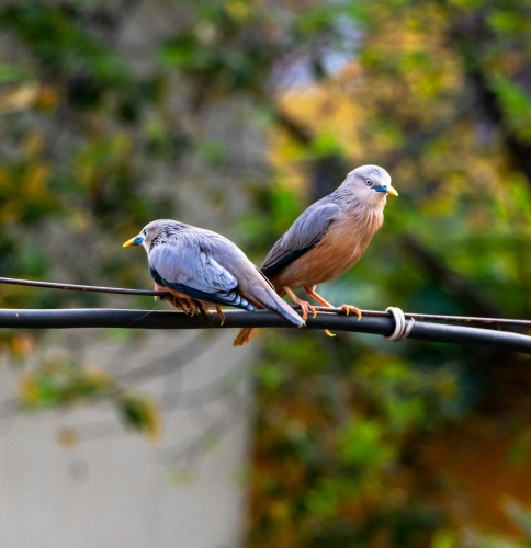 سایت همسریابی طوبی جدید